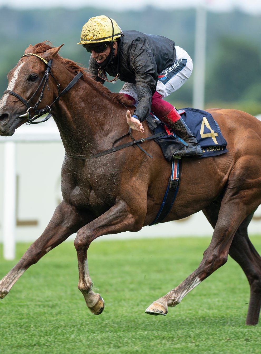 Stradivarius goes for a fourth Goodwood Cup next week