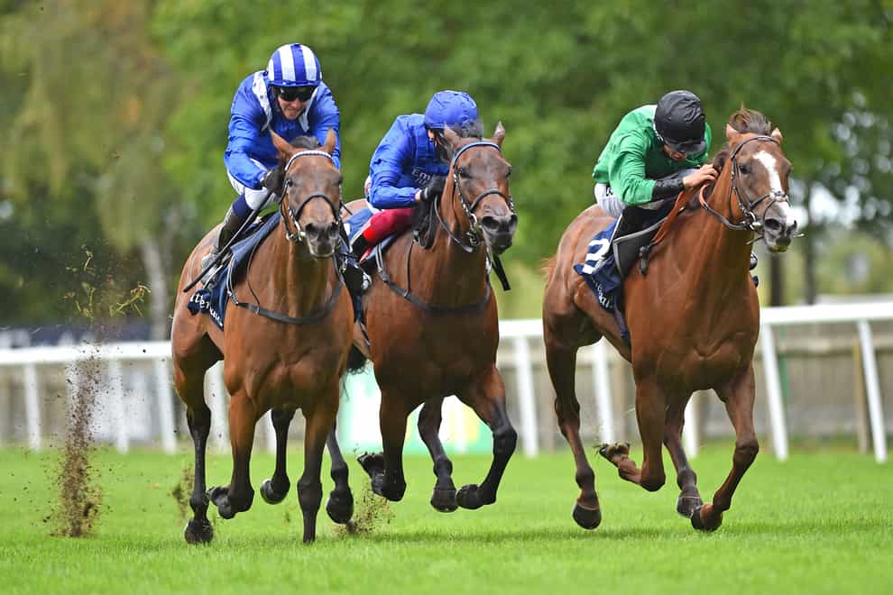 Nazeef (left) will be stepping up in trip at Goodwood