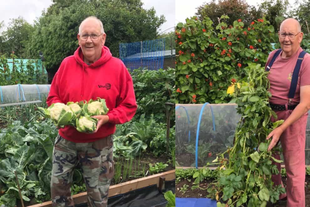 71-year-old goes viral for showing off his gardening skills