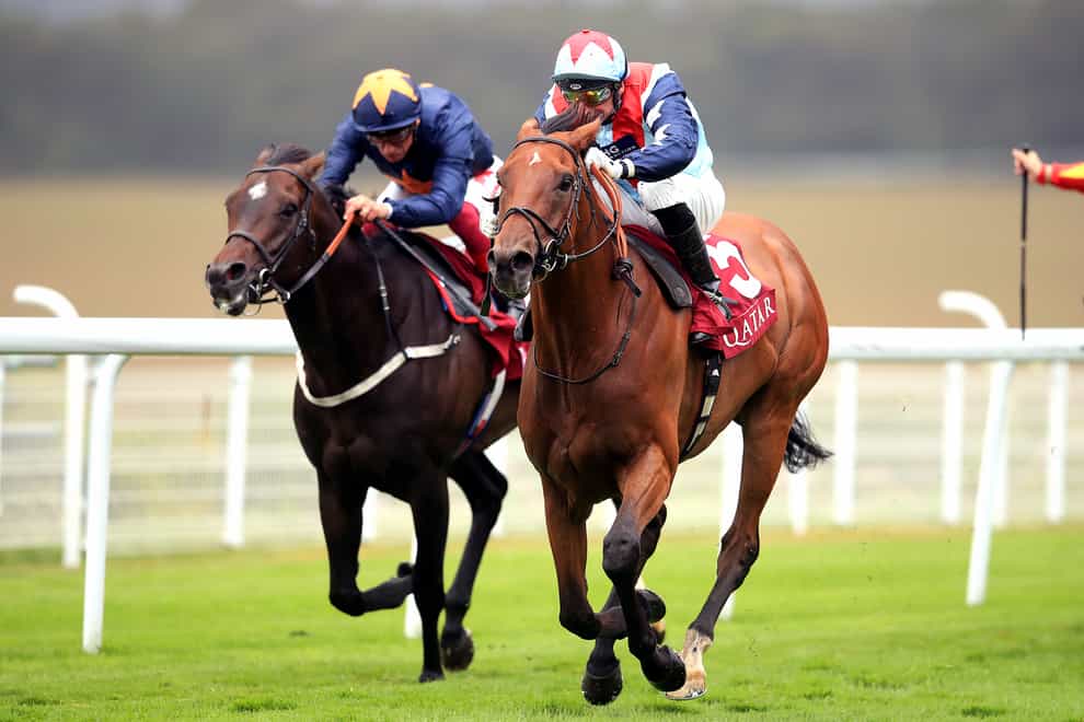 Sir Dancealot (right) is bidding for a third win in the Lennox Stakes