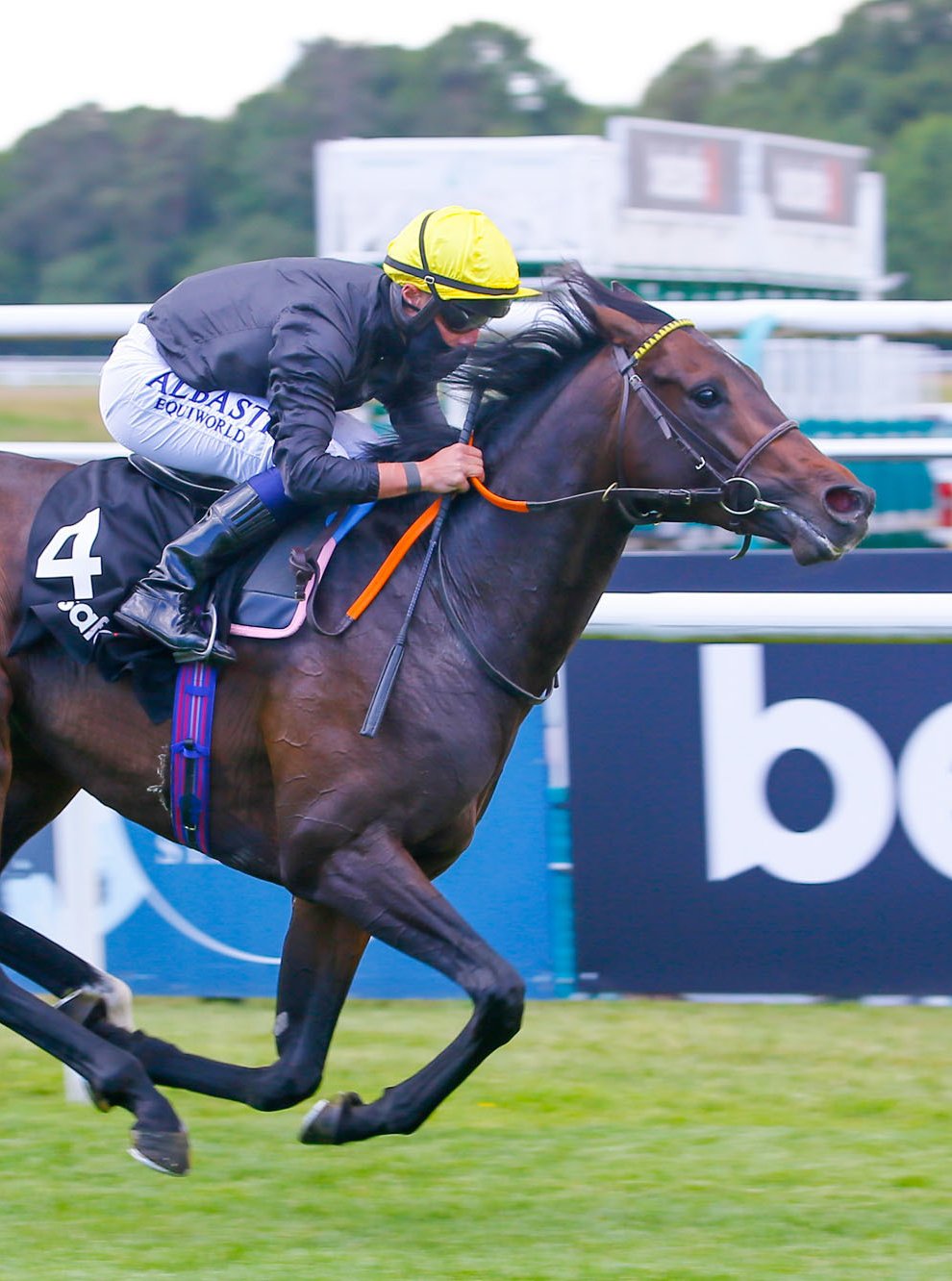 English King tops a six-strong field for the Gordon Stakes