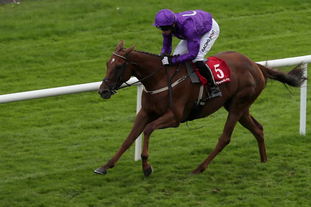 Buildmeupbuttercup is one of several runners for Willie Mullins in the Galway Hurdle