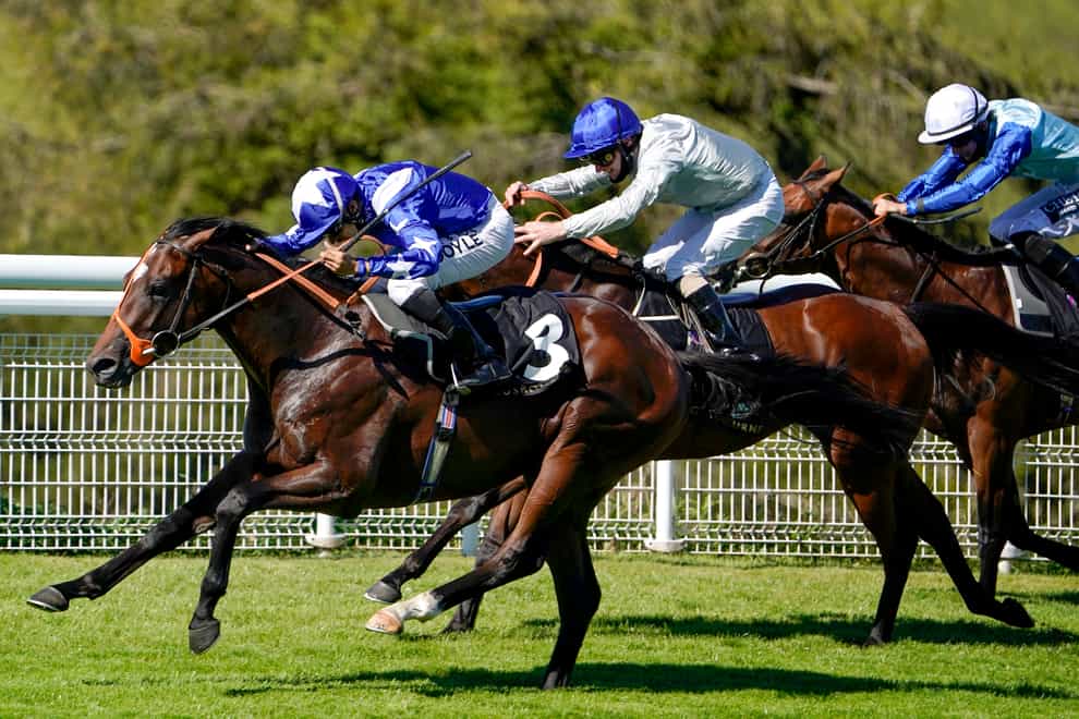 Mark Of The Man (left) comes out on top at Goodwood