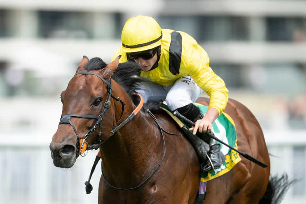 Nahaarr heads the betting for the Stewards' Cup at Goodwood