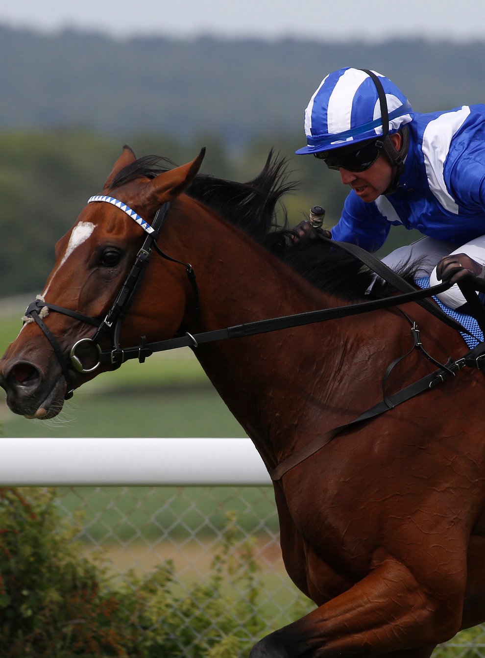 Enbihaar on her way to winning last year's Lillie Langtry Stakes