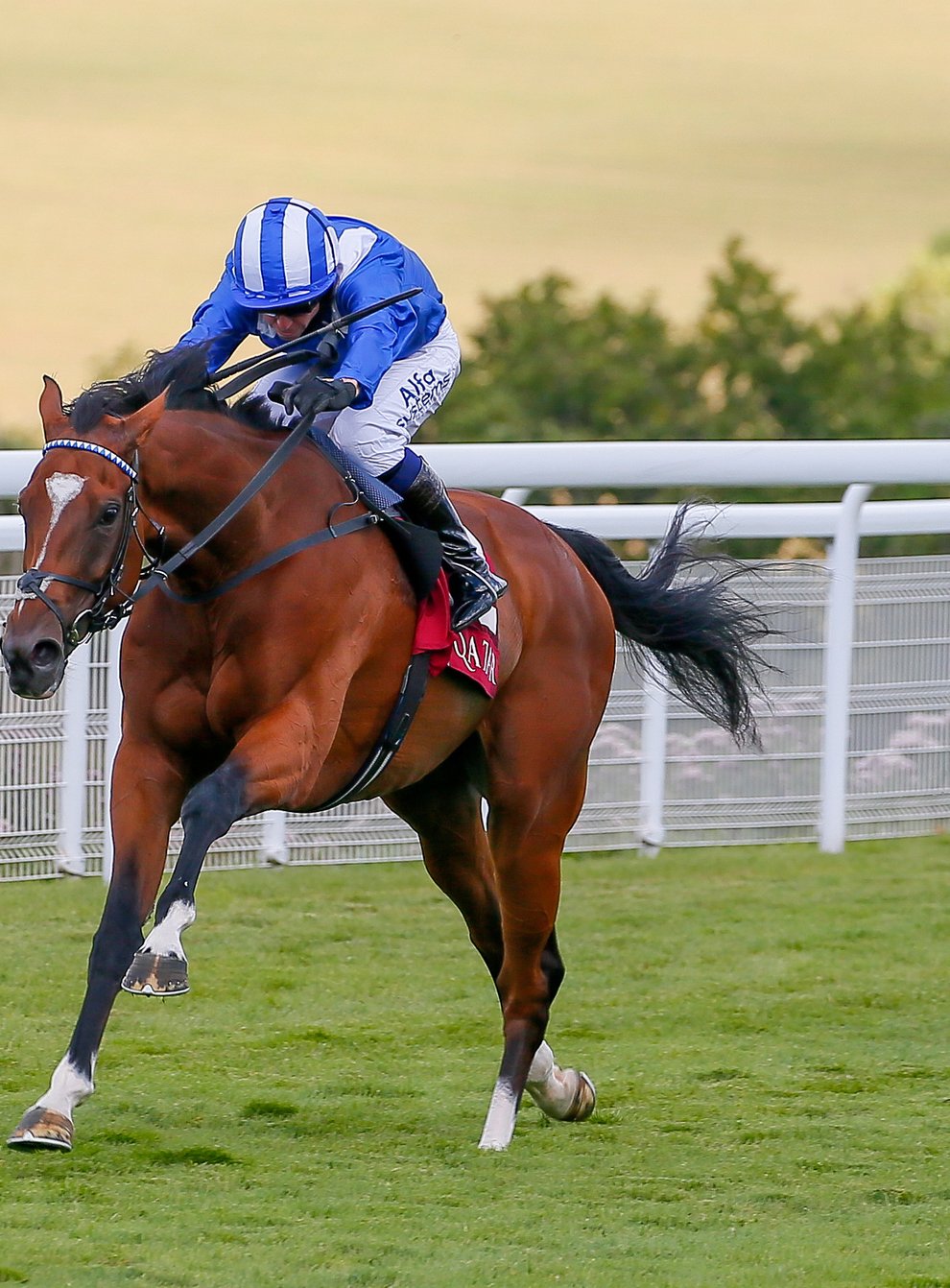 Enbihaar on her way to a smooth victory in the Qatar Lillie Langtry Stakes at Goodwood