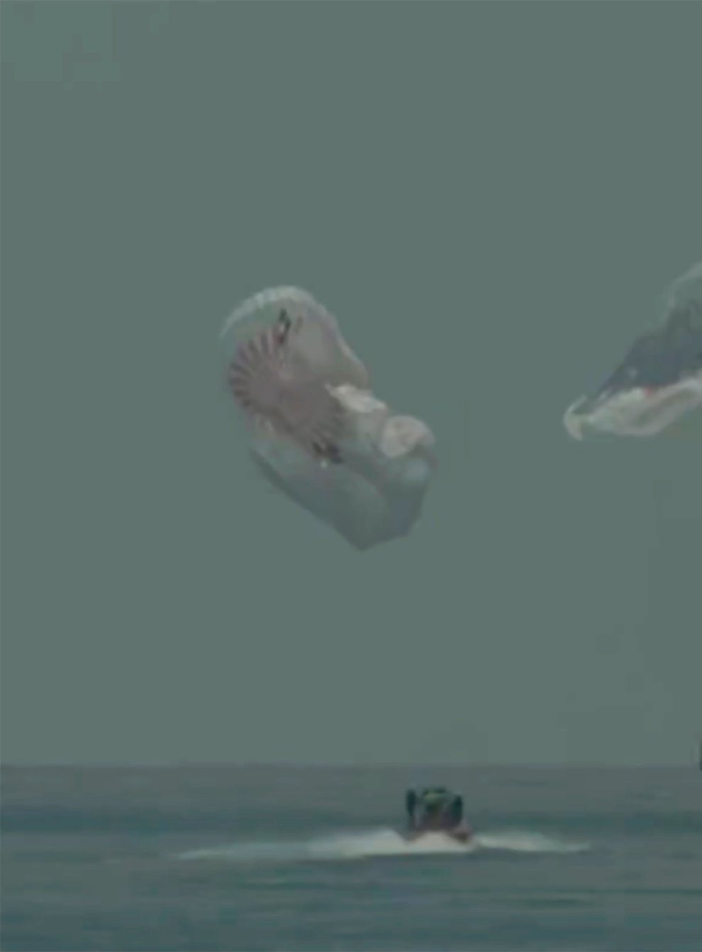 SpaceX capsule splashing down in the Gulf of Mexico 