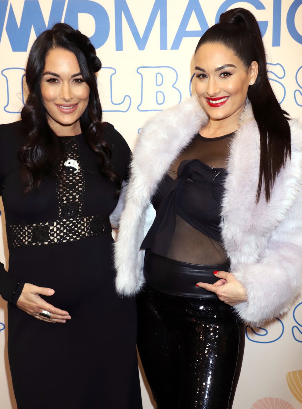 Identical twins Brie and Nikki Bella have given birth just a day apart 