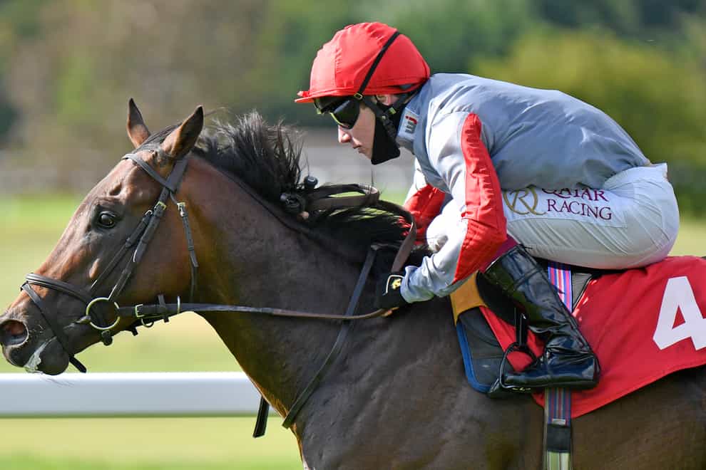 Ubettabelieveit could be given an entry in the Nunthorpe Stakes at York