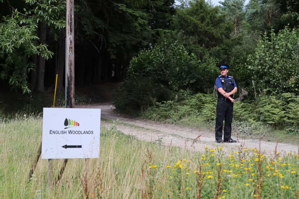 A police officer on the road close to the scene of a light plane crash in Heathfield, East Sussex