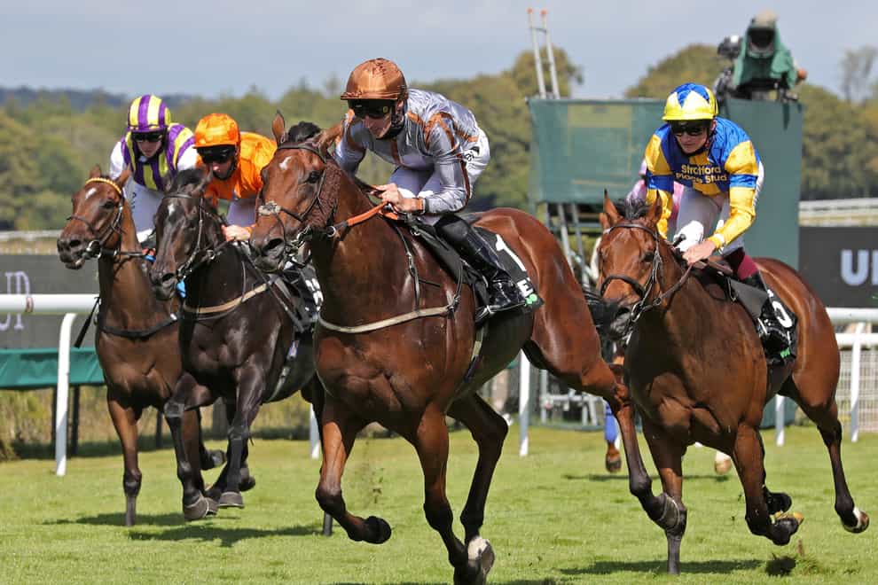 Summerghand (centre) is having an easy time after his win in the Stewards’ Cup at Goodwood