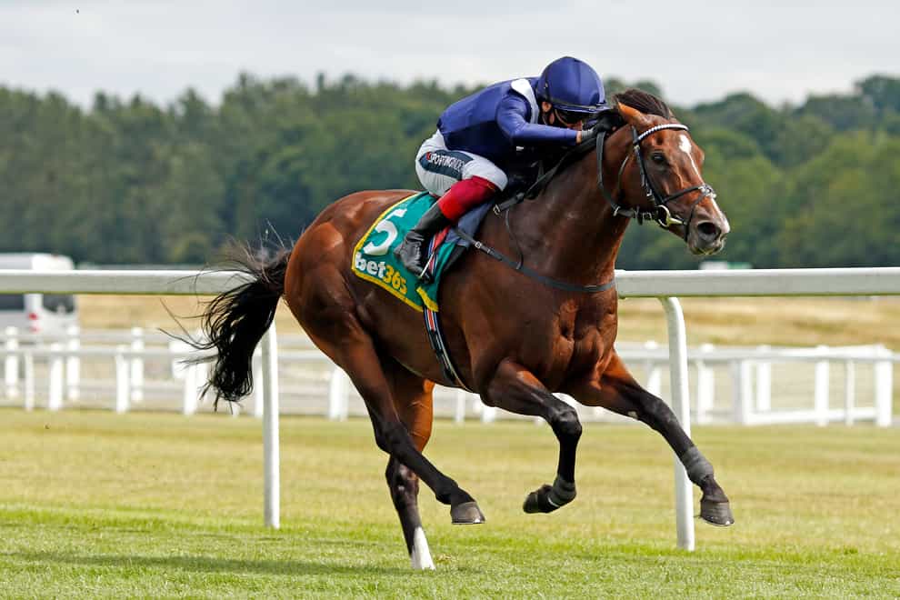 Global Giant will be a hot favourite for the Rose of Lancaster Stakes at Haydock