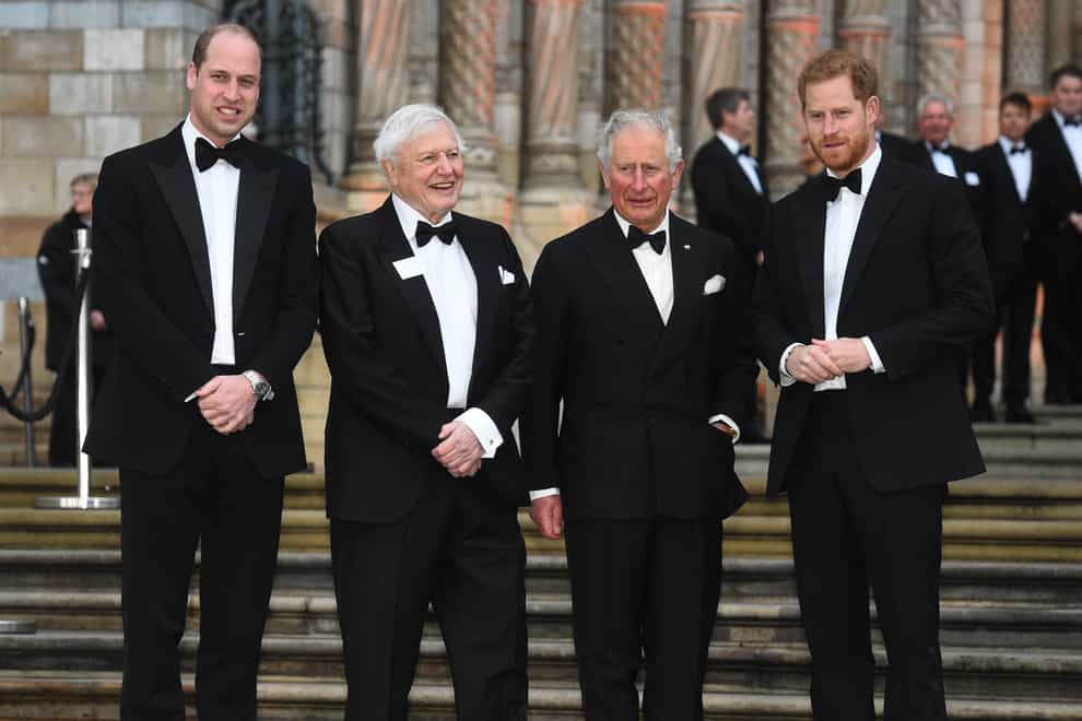 The Duke of Cambridge and Duke of Sussex, pictured at a premiere with the Prince of Wales and Sir David Attenborough, blow 'hot and cold' with their father, a new book claims. Kirsty O’Connor/PA Wire