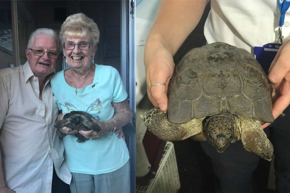 David and Sylvia Clouder with their tortoise, Tommy