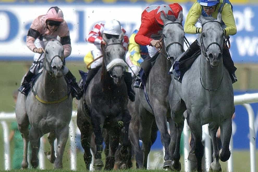 The Grey Horse Handicap at Newmarket