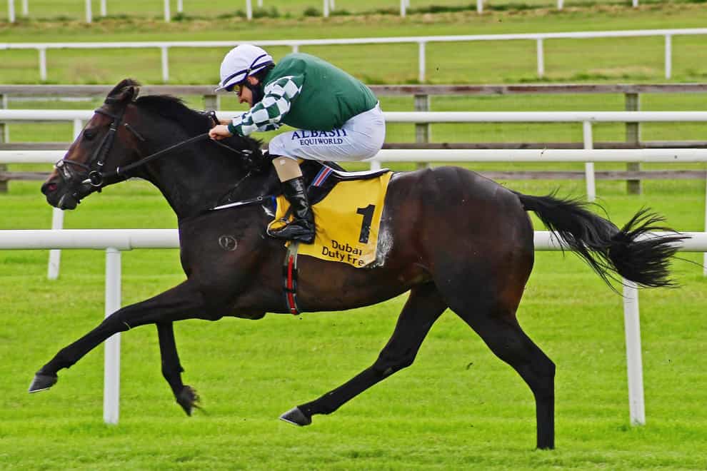 Ancient Spirit is a leading contender for the Desmond Stakes at Leopardstown