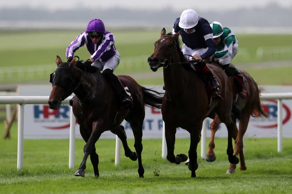 Delphi (left) made every yard of the running and held off Master Of Reality in the Irish St Leger Trial at the Curragh