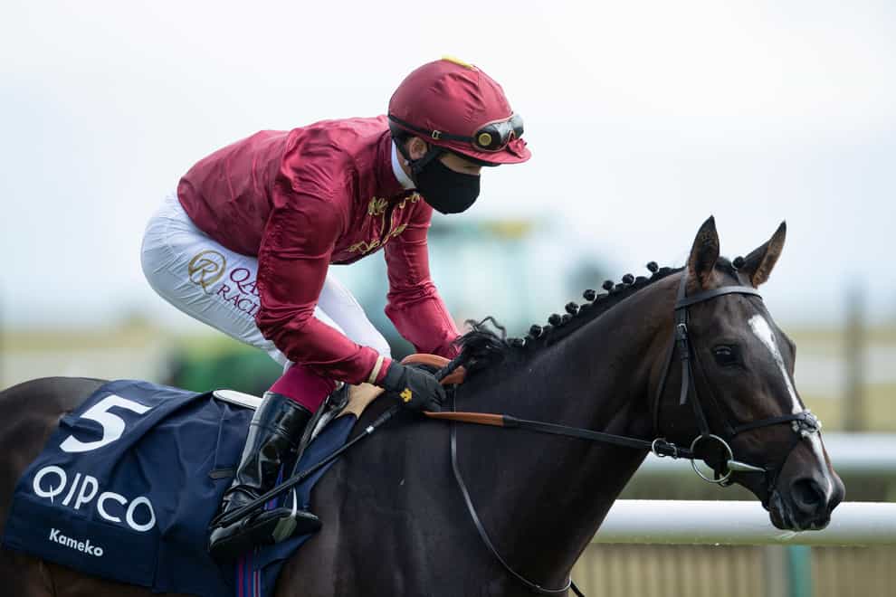 Kameko will tackle a mile and a quarter for the first time in the Juddmonte International at York on Wednesday