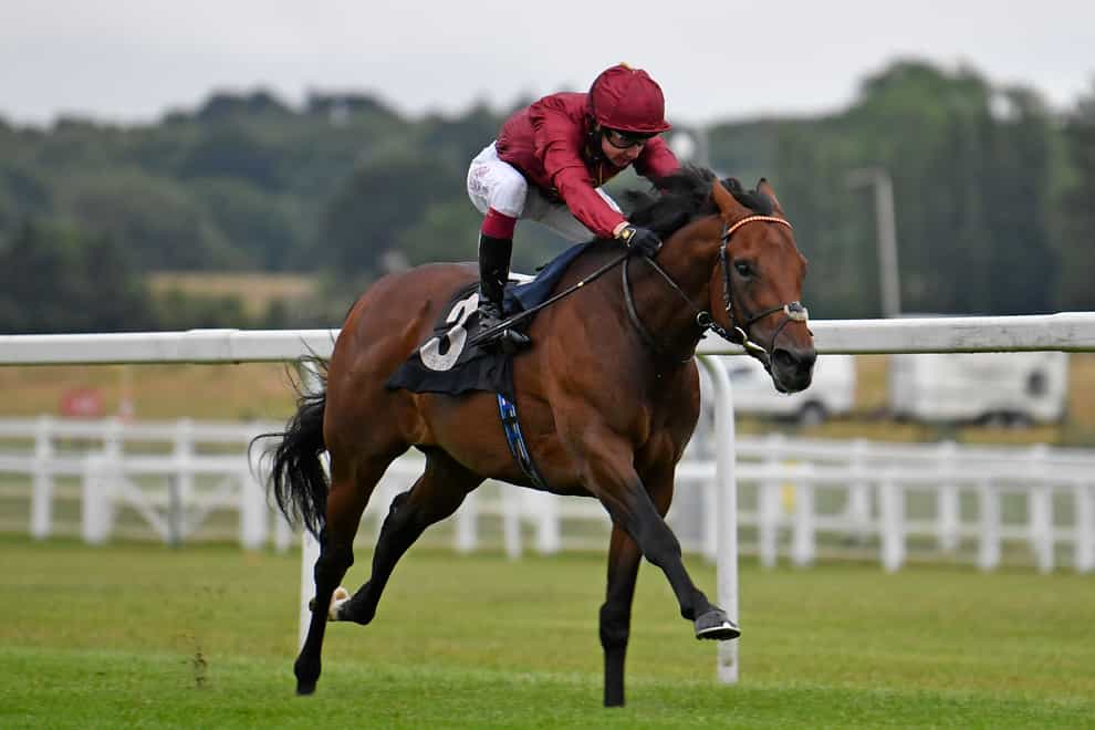 Darain runs in the Great Voltigeur at York on Wednesday