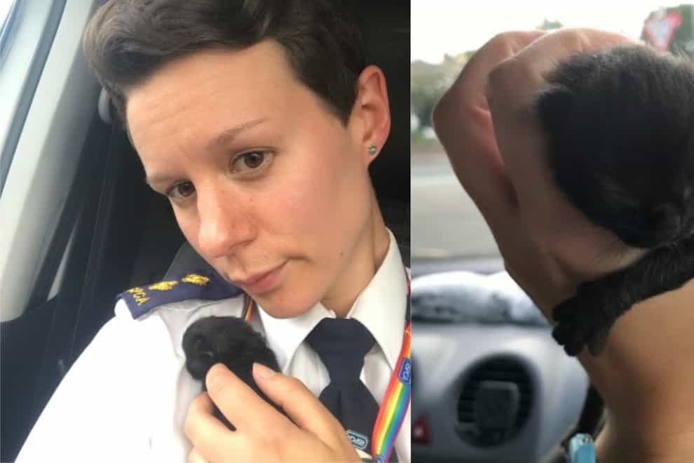 An RSPCA inspector with Eve the kitten, who was found alone in a London garden