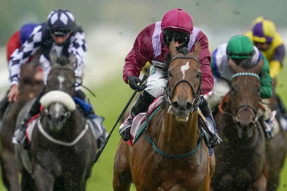 Safe Voyage impressed in the City of York Stakes