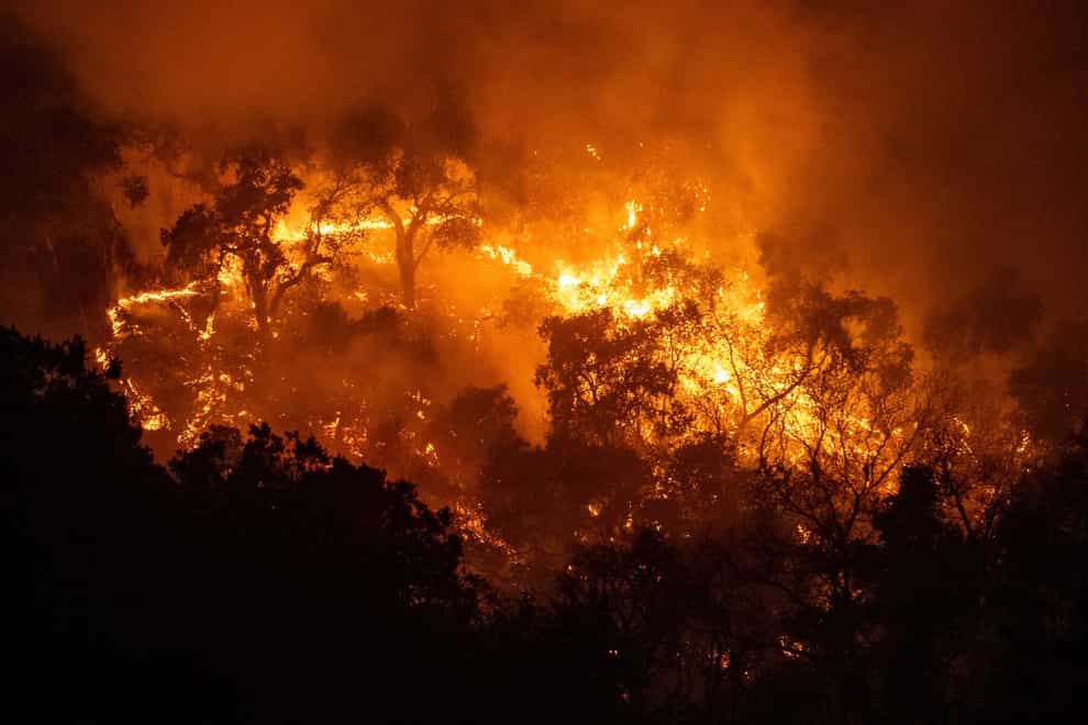 California wildfires continue to rip through forestry as thousands evacuate homes
