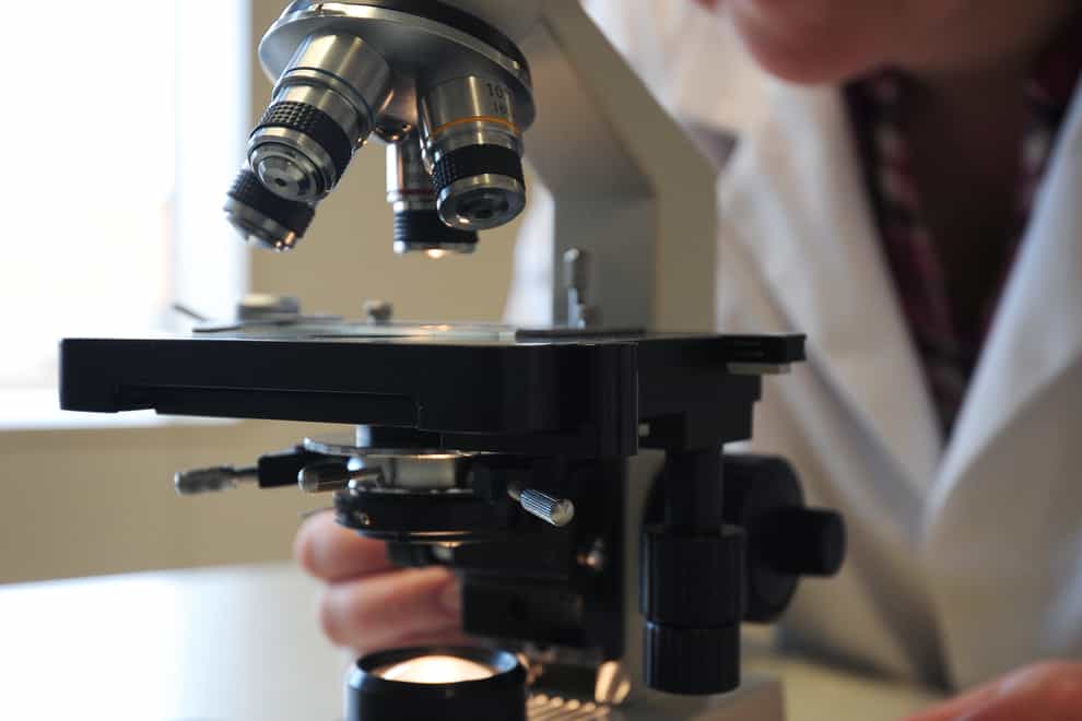 A scientist looks through a microscope lens