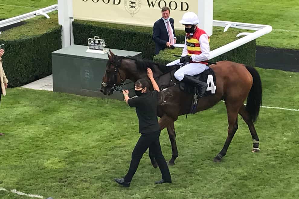 The Game Is On was a notable winner for racecourse doctor Guy Mitchell at Goodwood