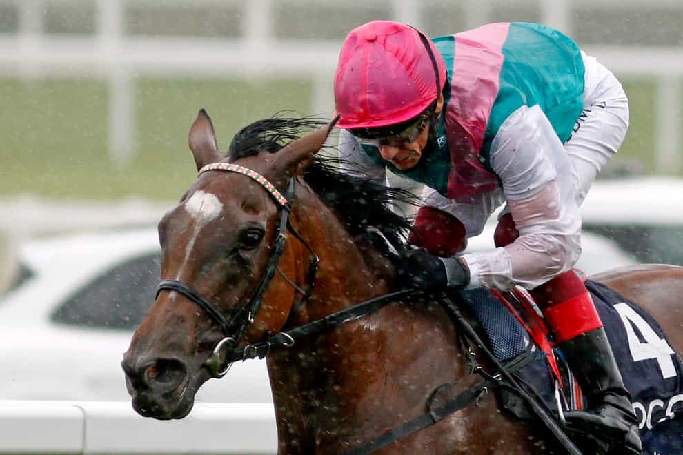 Enable is set to run at Kempton on Saturday