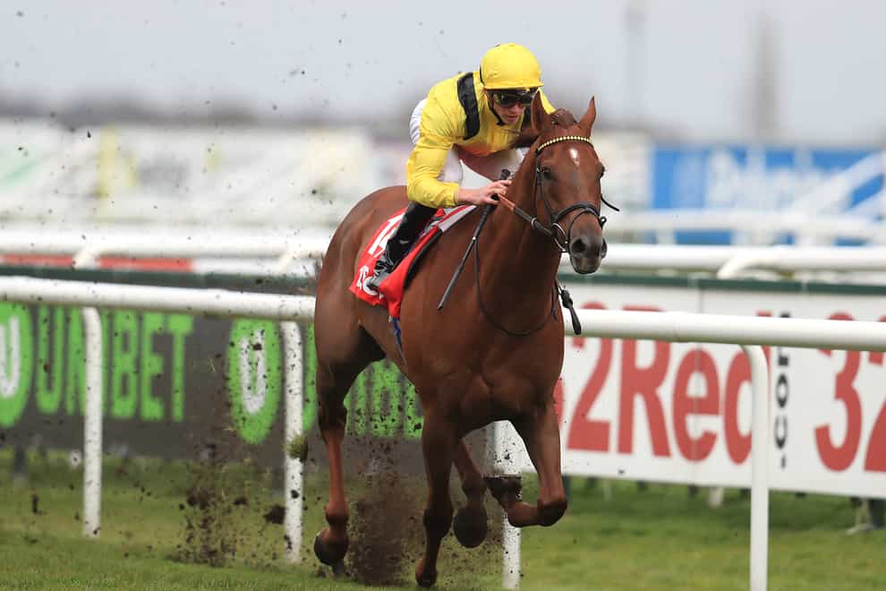Addeybb has the Champion Stakes as his aim