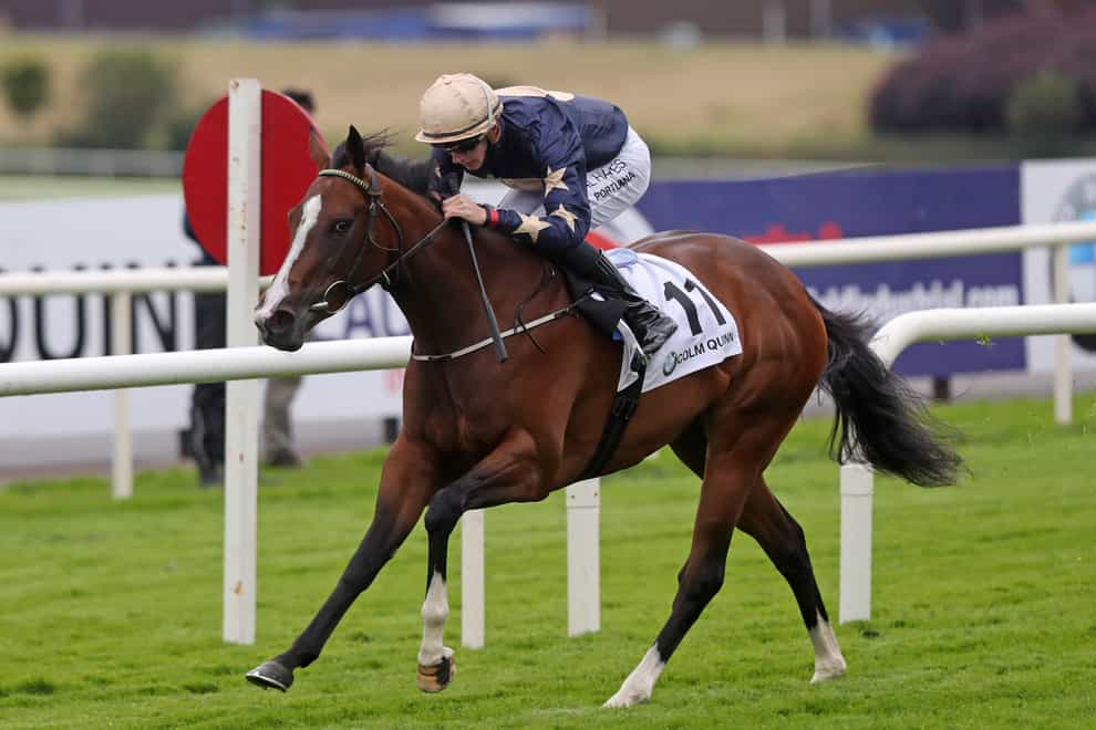 Champers Elysees is the likely favourite for the Fairy Bridge Stakes