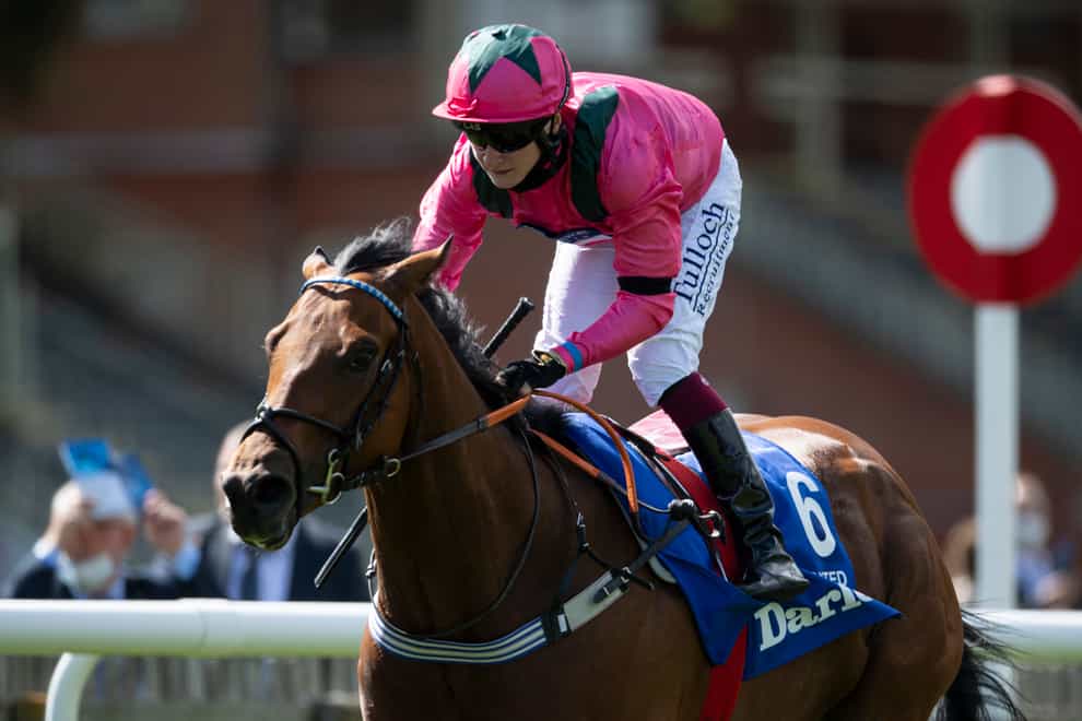 Oxted will not run in the Betfair Sprint Cup at Haydock