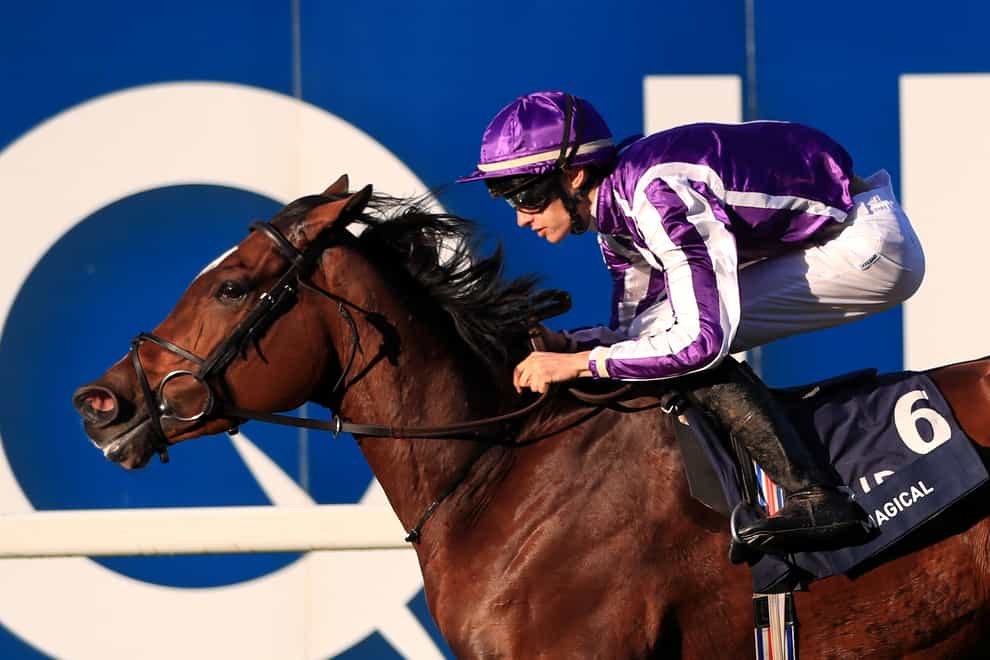 Magical is Aidan O'Brien's number one hope in the Irish Champion Stakes
