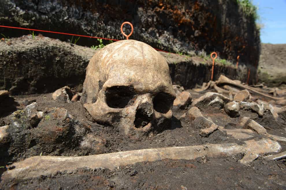 Bronze Age skull in the Tollense valley