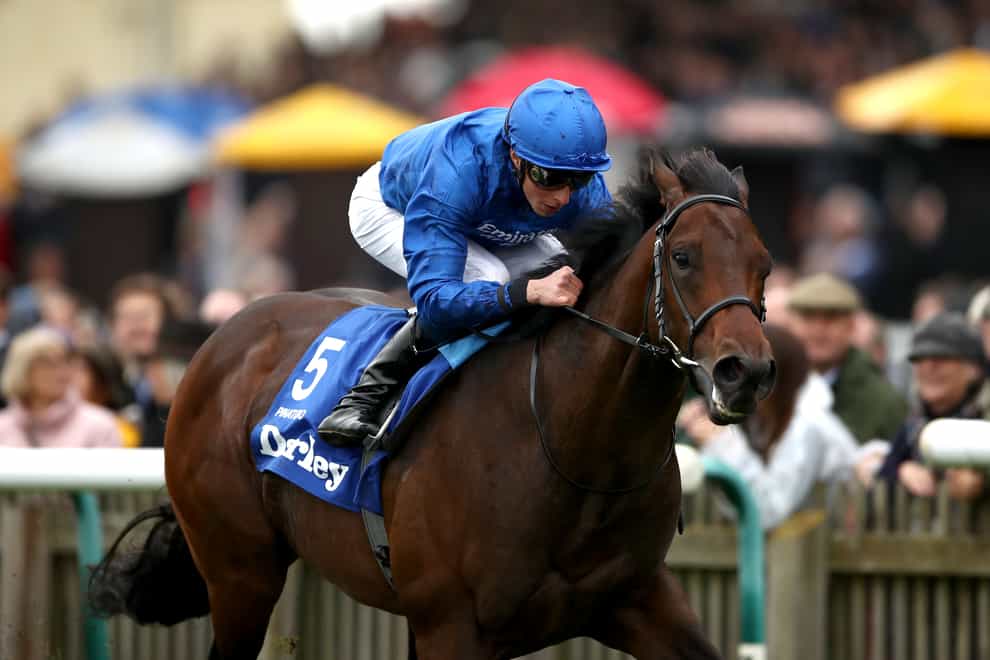 Pinatubo is part of a stellar field for the Prix du Moulin