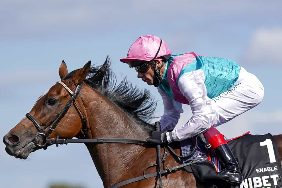 Enable has lit up the world of racing