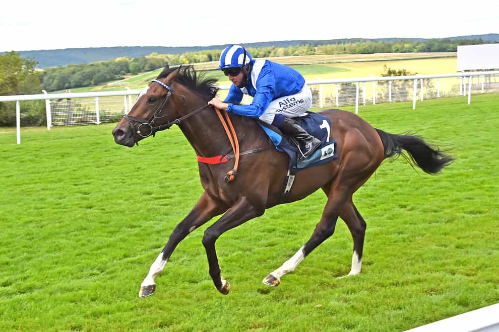 Alkumait could be bound for the Dubai Duty Free Mill Reef Stakes at Newbury