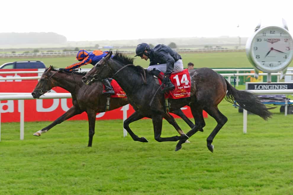 Tiger Moth (right) will sidestep Doncaster