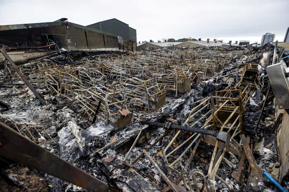 Remains of an overnight fire at the farrowing house at Glenmarshal Pedigree Pigs, a farm on the Carrigenagh Road outside Kilkeel, with reports of at least 2000 pigs lost (Liam McBurney/PA)