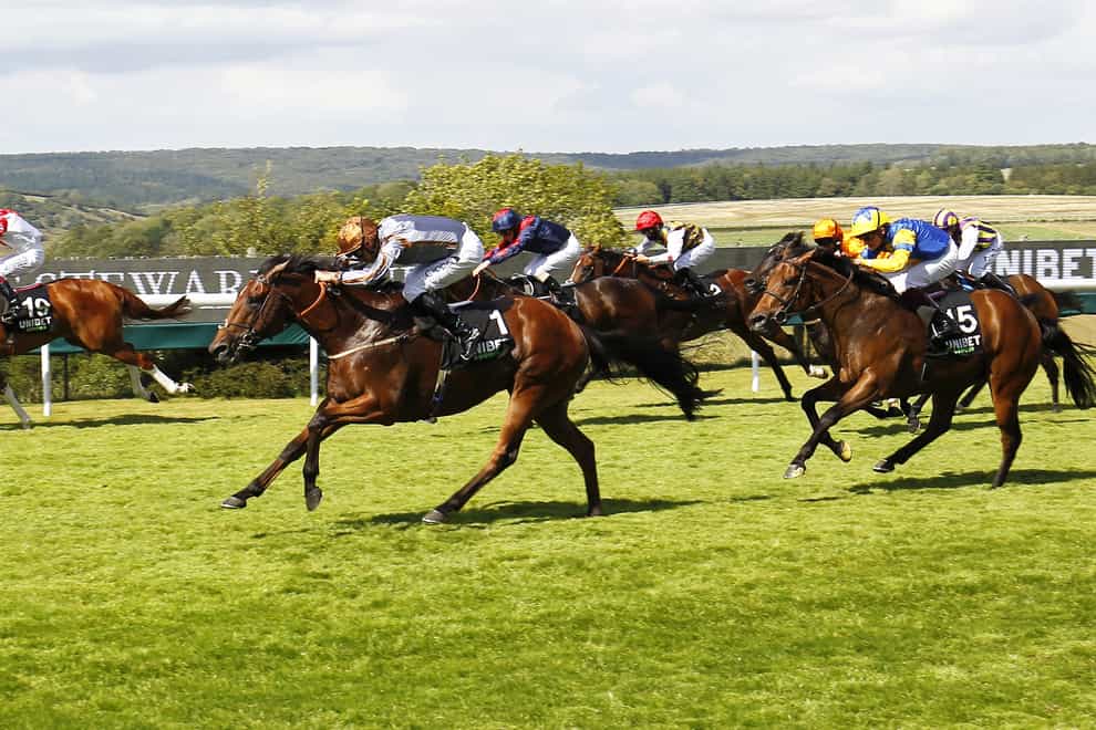 Summerghand (centre) would have to give weight all round in the QTS Ayr Gold Cup
