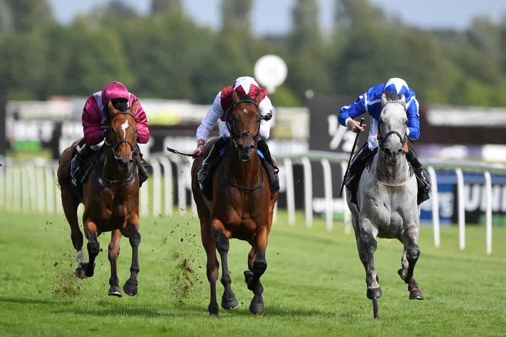 Glorious Journey (centre) will look to rediscover the winning touch at Newbury