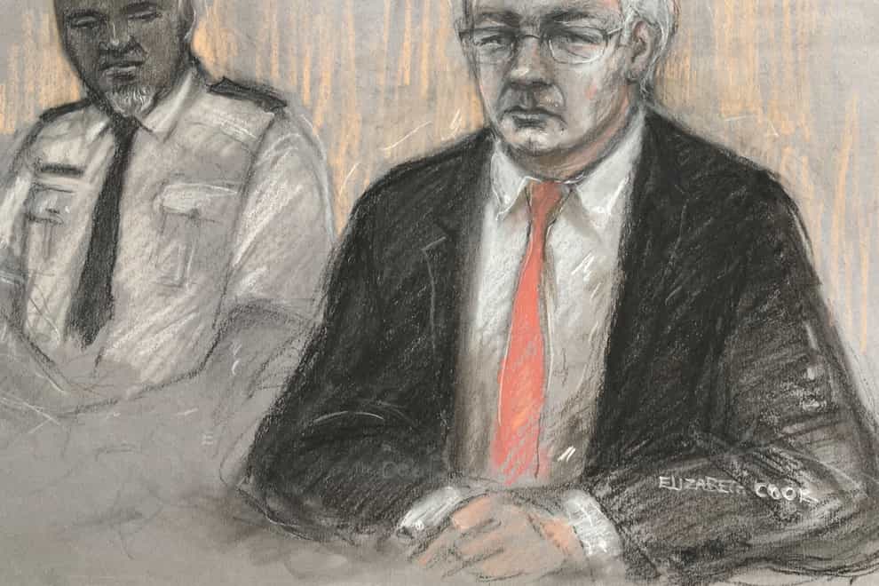 Court artist sketch by Elizabeth Cook of Julian Assange (Elizabeth Cook/PA)