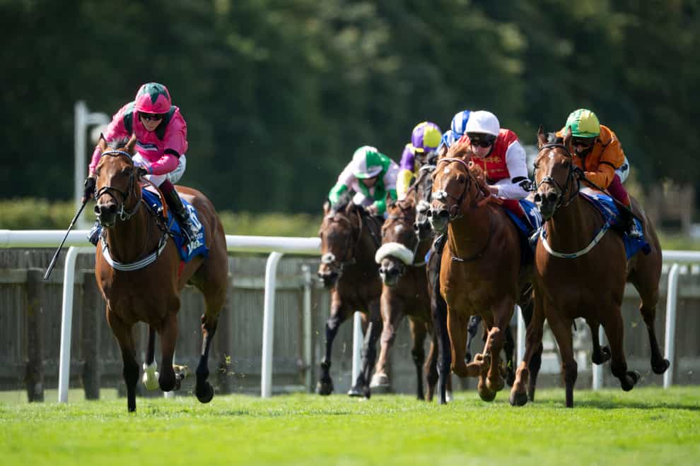 July Cup winner Oxted (left) will only run in the Qipco British Champions Sprint at Ascot if the ground is right