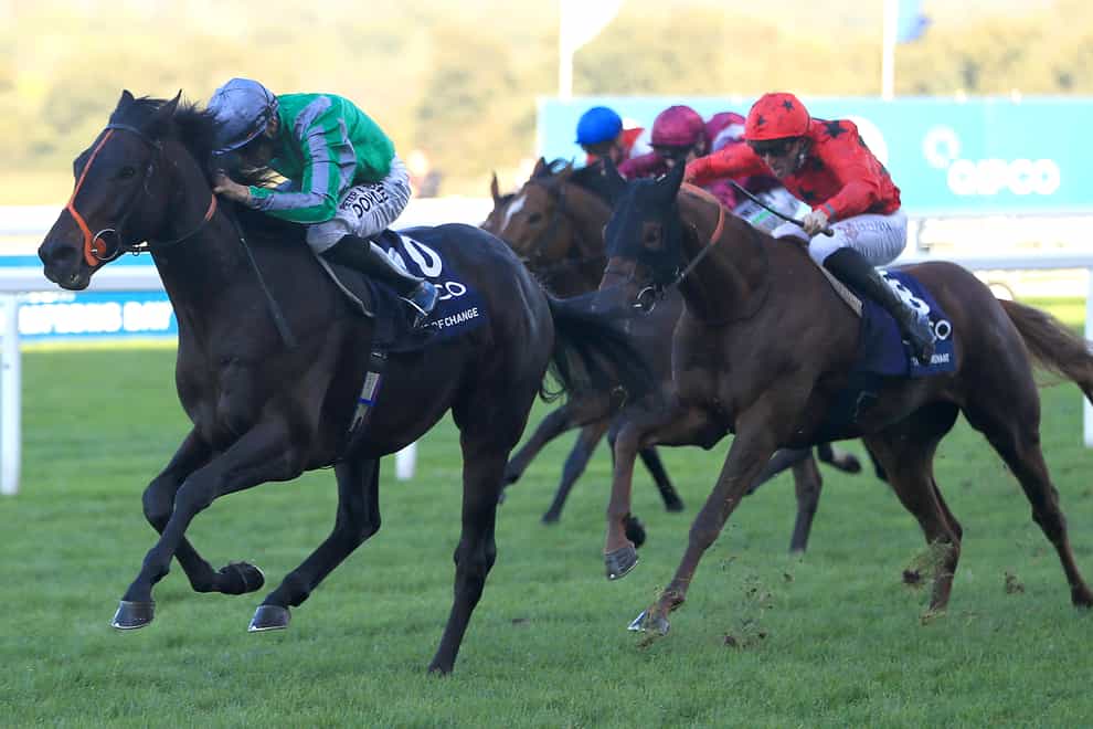 The Revenant (red) chases home King Of Change at Ascot