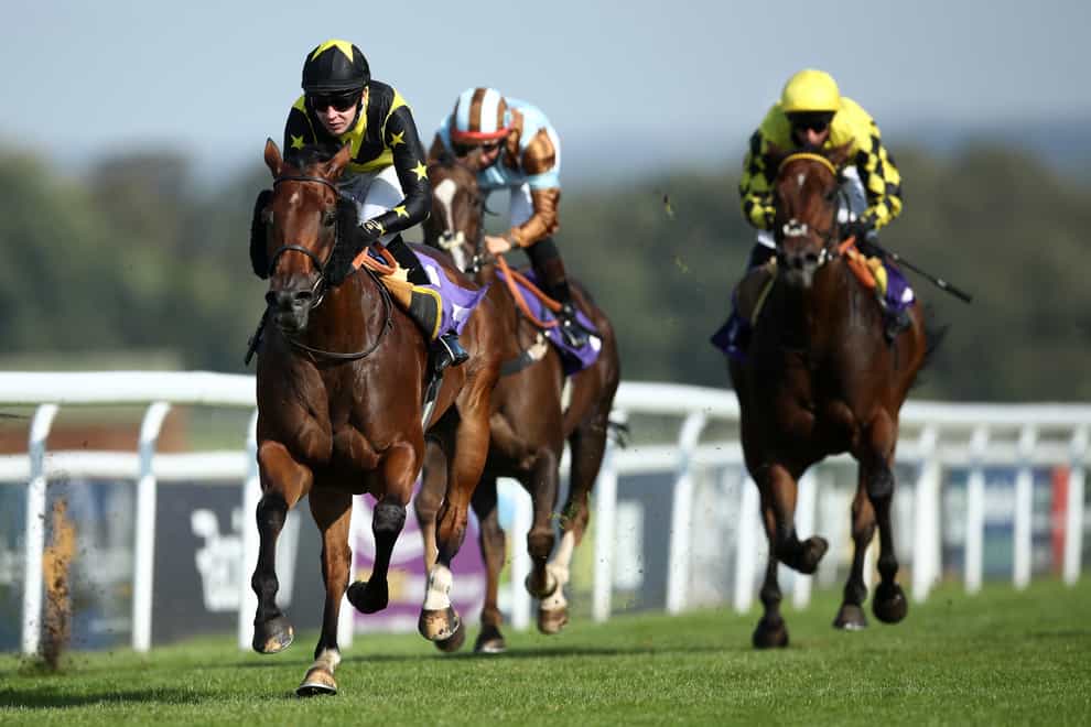 Aljady (left) claimed another victory at Beverley