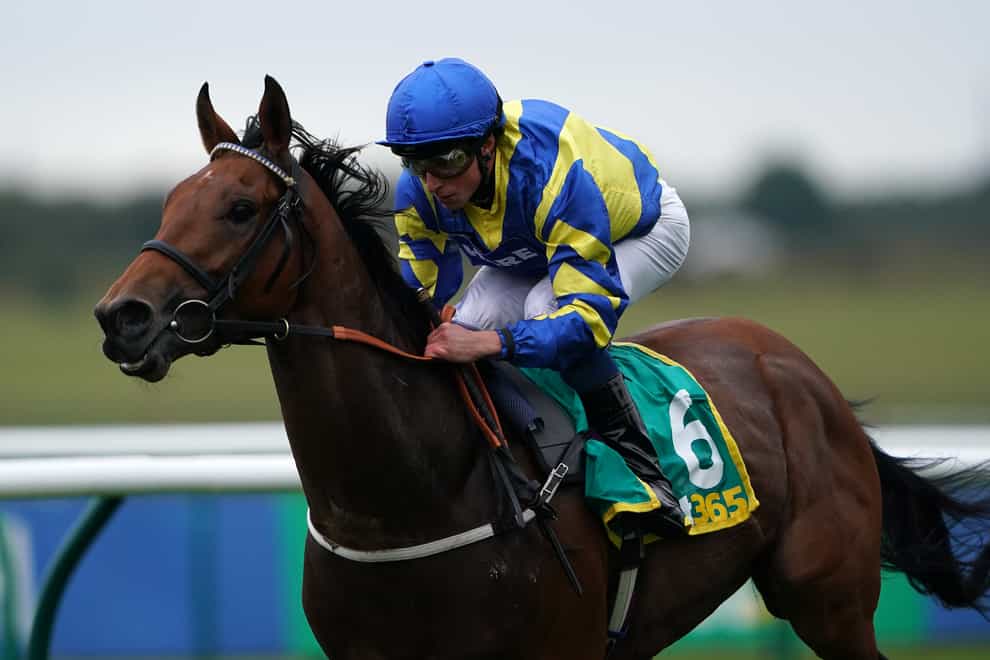 Trueshan will tackle the Group Two Qipco British Champions Long Distance Cup at Ascot on his next start