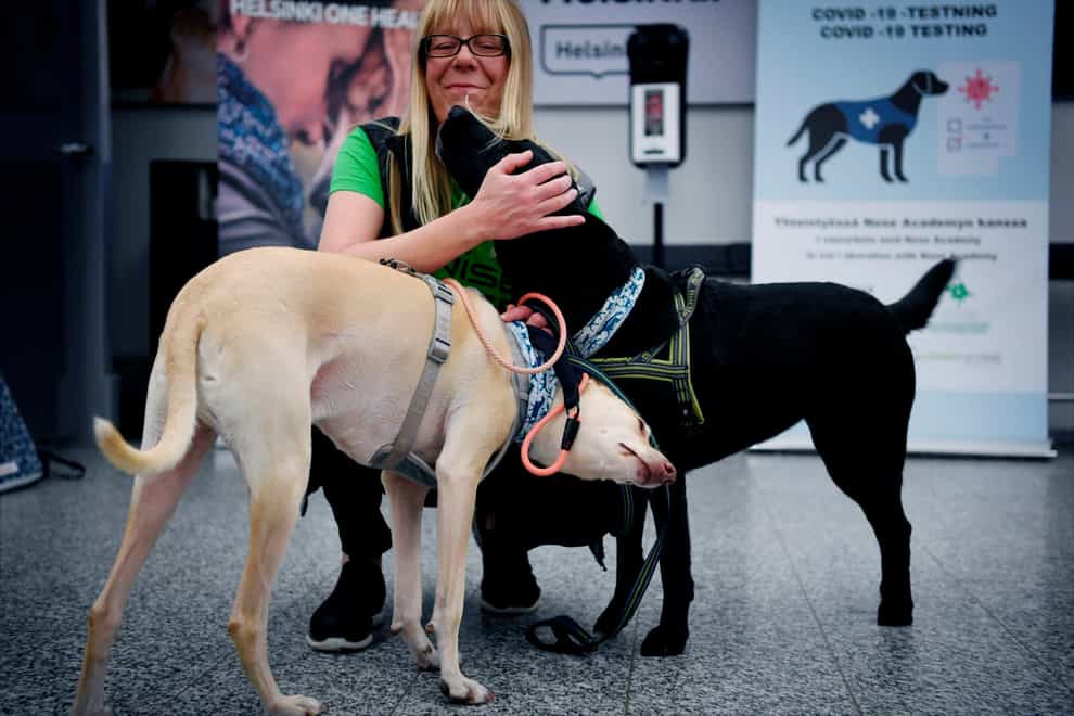 Sniffer dogs named Kossi and Miina with trainer Susanna Paavilainen