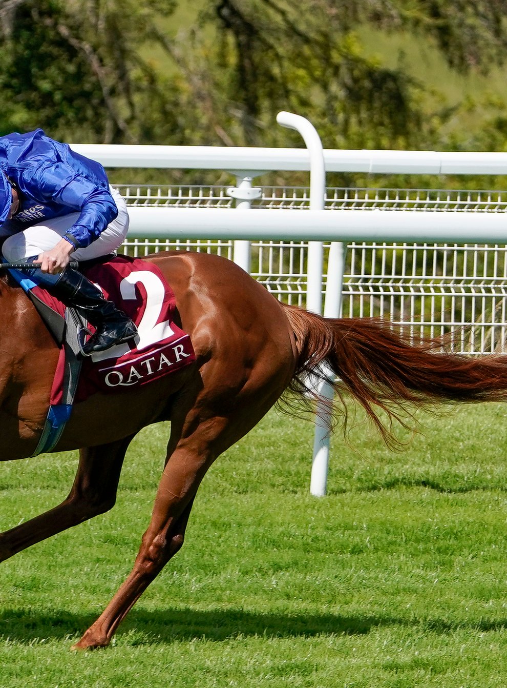 Space Blues will miss his intended outing in France