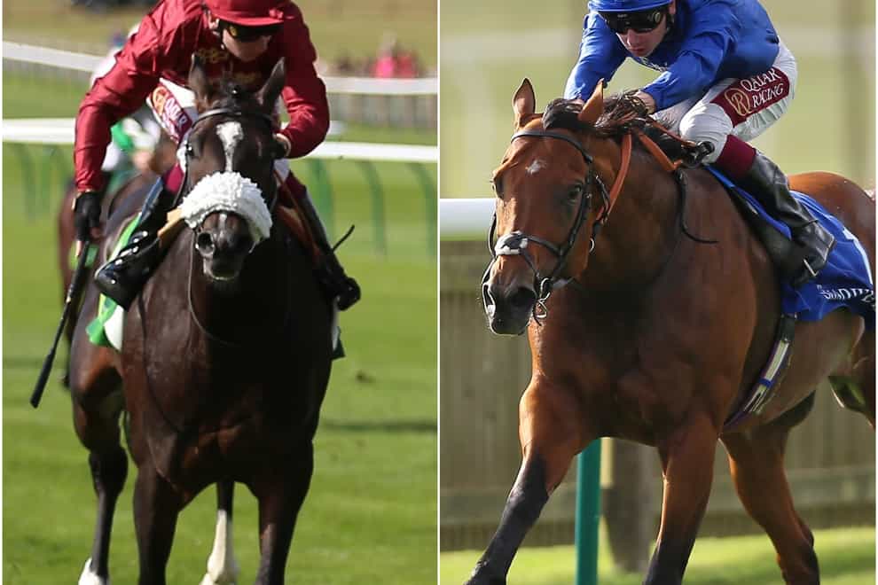 Kameko (left) and Benbatl are the two big names in the Joel Stakes at Newmarket