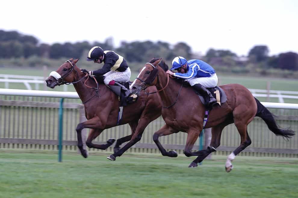 Ranch Hand (left) got the better of Withhold at Newmarket